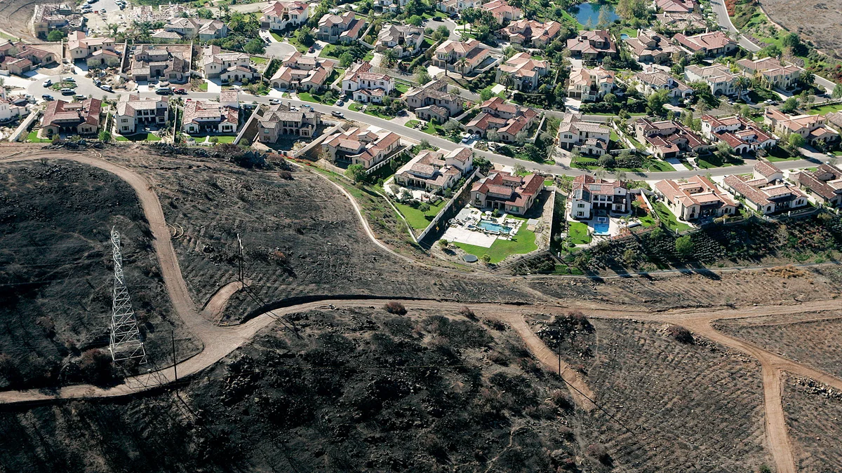 Hillside neighborhood in the Menlo Park wildland-urban interface showing homes among natural vegetation
