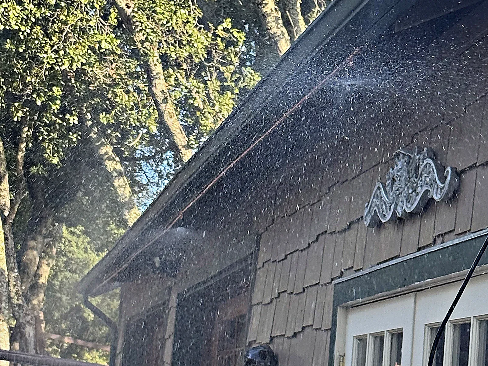 FireRoofs eave sprinklers misting the eaves, shingle siding, windows and garage door of a Bay Area home under oak trees